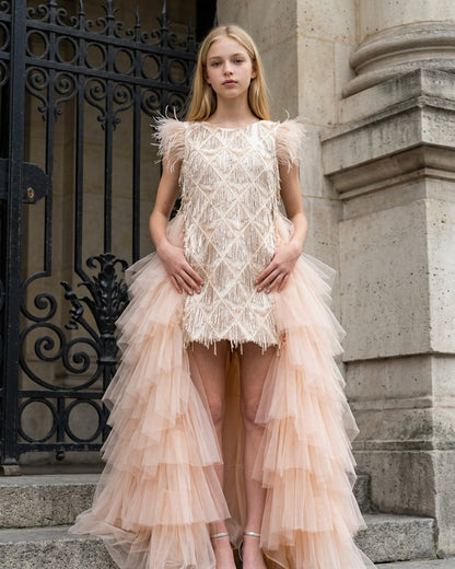 Brush Royal dress