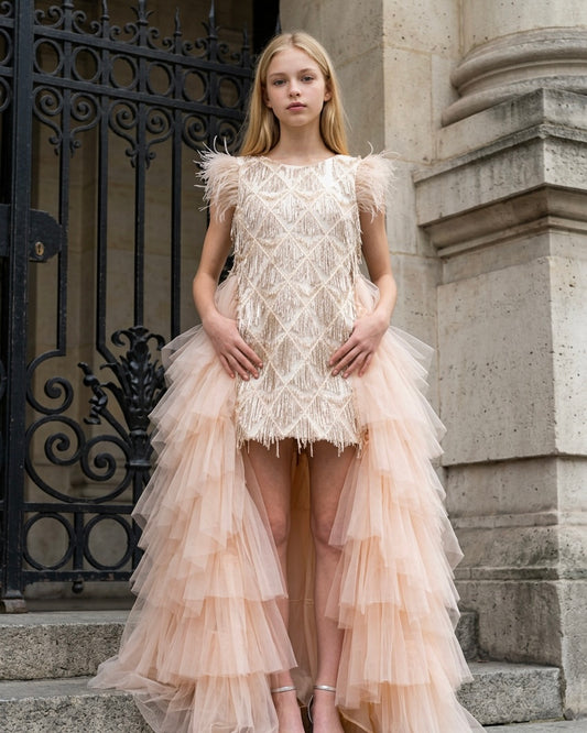 Brush Royal dress